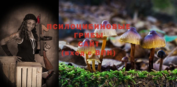 2c-b Россошь