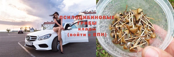 apvp Ростов